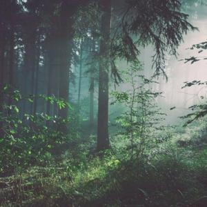 Pornhub国产在线观看明星挨脸
